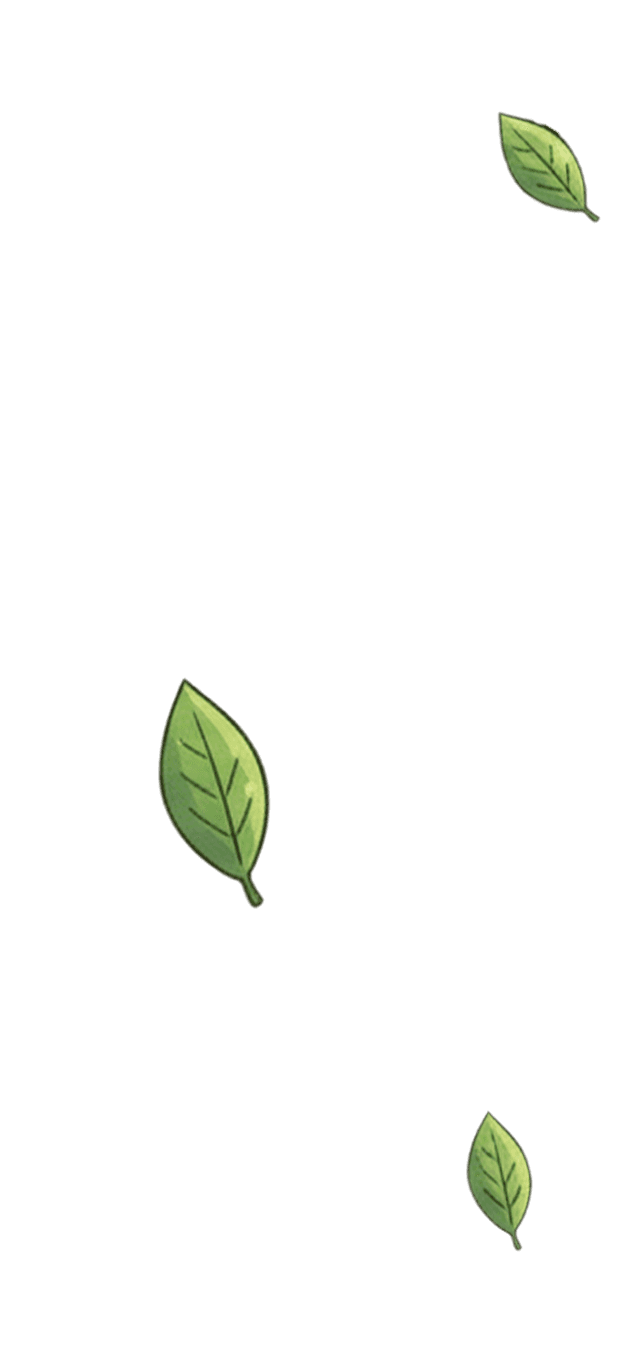 Folhas Voando Direita